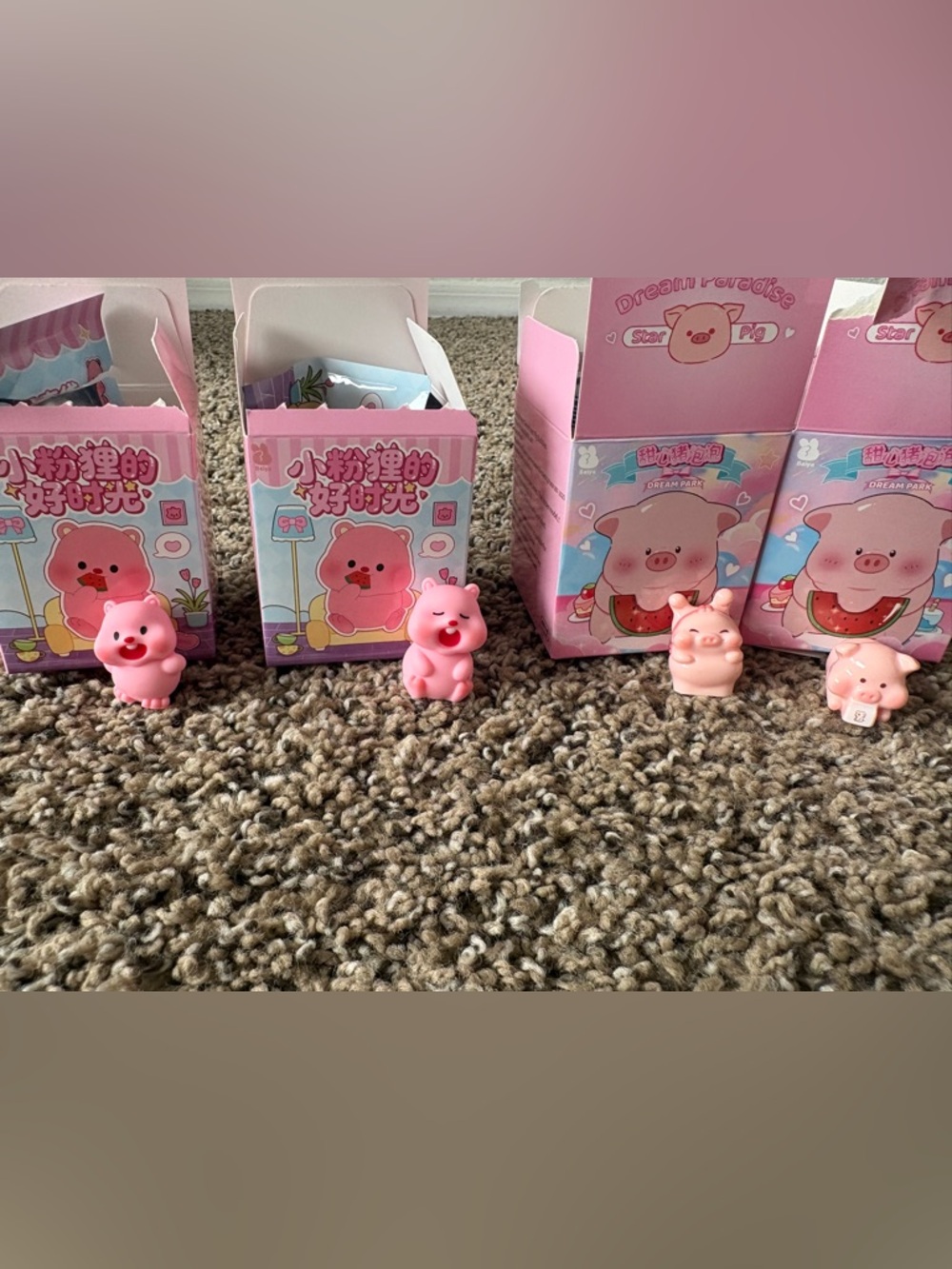 Sweetheart Pig Bubbles & Others Blind Box Bundle